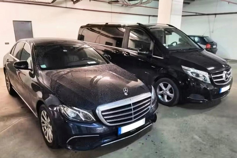 Private day tour to Évora: cork, factory, winery & the city