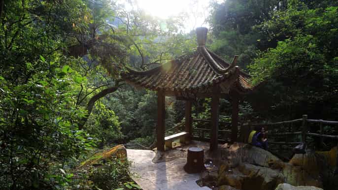 from guangzhou zhaoqing fullday private tour