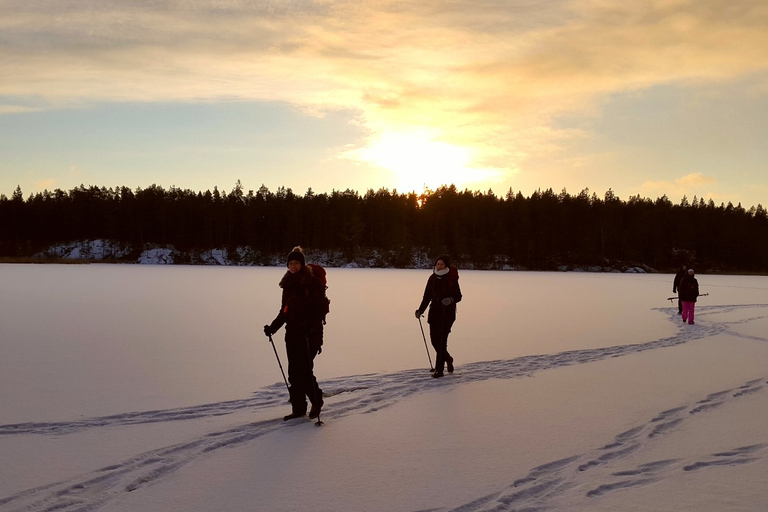 Estocolmo: Excursión de un día con raquetas de nieve en invierno