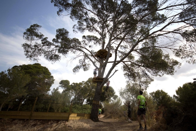 Majorque : Forestal Park en famille ou aventure sportiveAventure au Forestal Park : parcours familial