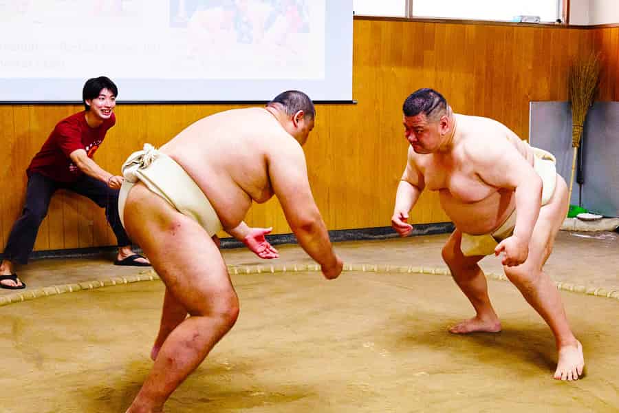 Osaka: Sumo-Erlebnis mit Live-Show & Herausforderung für das Publikum. Foto: GetYourGuide