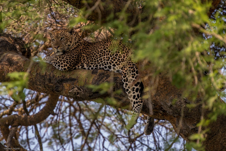 Kampala: 3-Day Murchison Falls National Park Safari