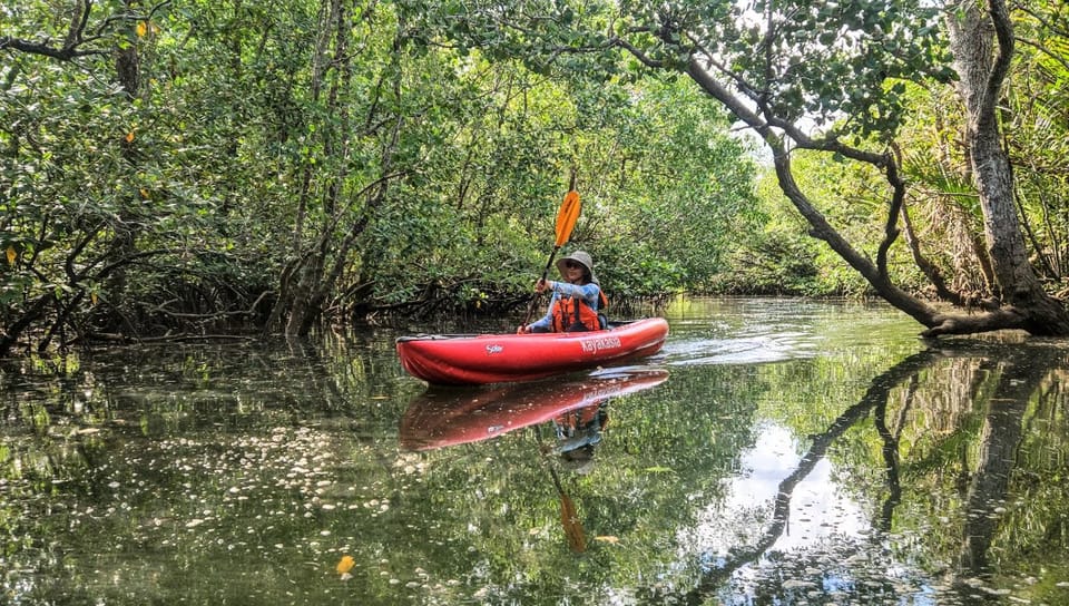 A person in a sun hat paddling a red kayak along a still, narrow channel walled in by mangrove branches that meet overhead