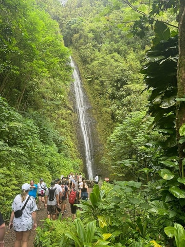 Honolulu: Manoa Waterfall Hiking Adventure