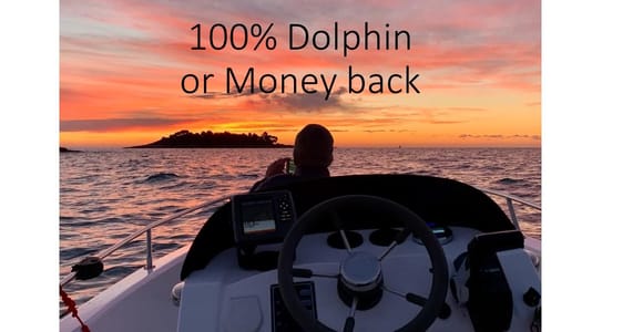 Vrsar: Delfinbesichtigung bei Sonnenuntergang mit Schnellboot
