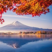 Mt Fuji and Lake Kawaguchi Scenic 1-Day Bus Tour | GetYourGuide