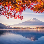 Mt Fuji and Lake Kawaguchi Scenic 1-Day Bus Tour | GetYourGuide