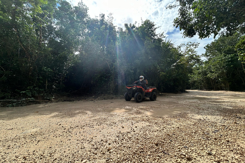 Puerto Morelos: Jungle ATV Adventure, Ziplines and Cenote Single ATV from Tulum