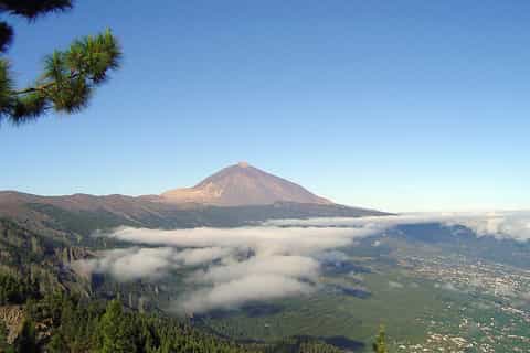 Tenerife: Private 6-Hour Essential Shore Excursion