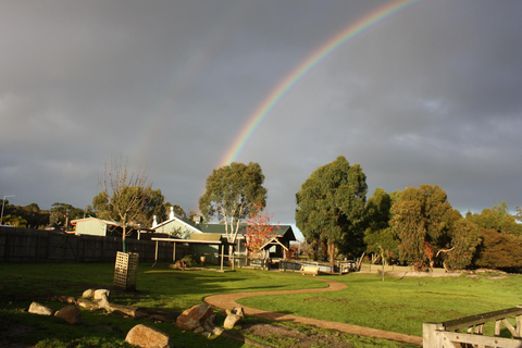 Melbourne: Tour della parata dei pinguini con giro in treno di Puffing Billy