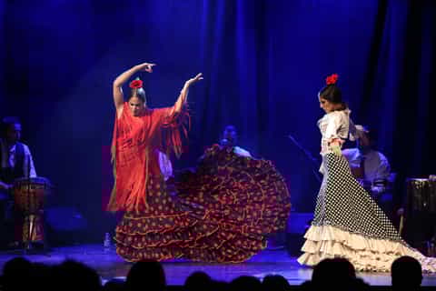 Barcellona: spettacolo di Flamenco al Teatro City Hall