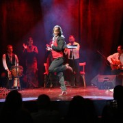 Barcelona: Flamenco-Show im Rathaus-Theater