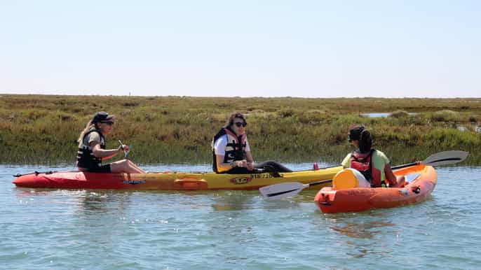 ria formosa national park kayak trip