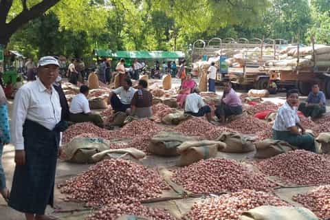 bagan community experience day tour with a local guide