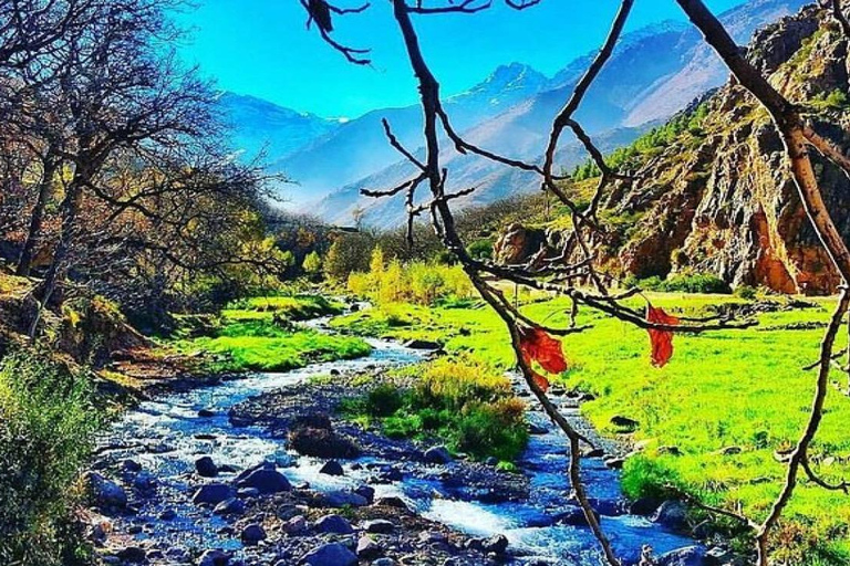 From Marrakech: Setti Fatma & Ourika Valley Tour with Lunch