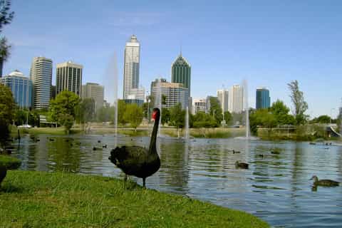 Perth Riverside Segway Tour