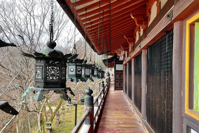 Asuka: Discover Origin of Japan–Historical Site and Nature