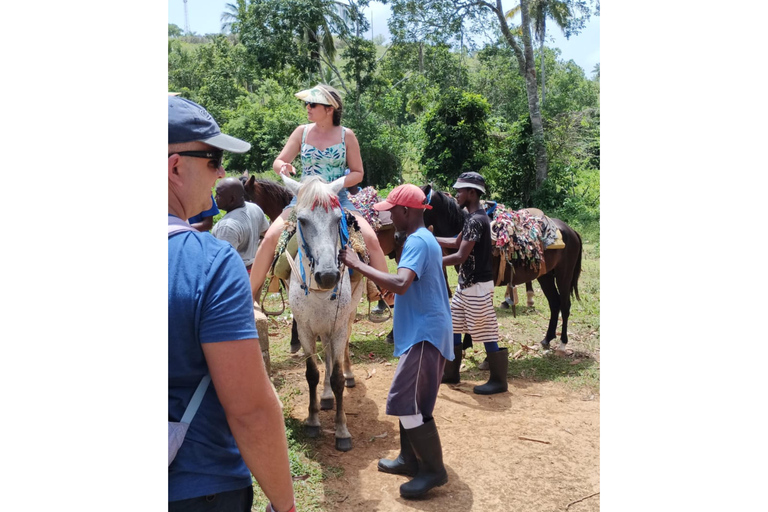 Punta Cana: Samaná Cayo Levantado & El Limón Waterfall Tour Samaná Meeting Point with Tour in Arabic