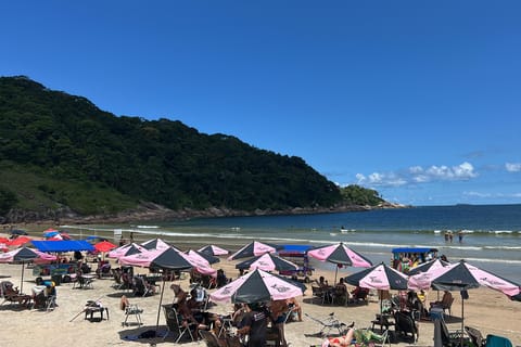 Discover the Wonders of the São Paulo Coast - Santos and Guarujá