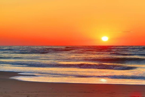 Bukareszt: 8-dniowa wycieczka po Rumunii, Transylwanii i delcie Dunaju