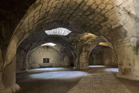 من زيورخ: جولة لنصف يوم في شلالات الراين وشافهاوزن