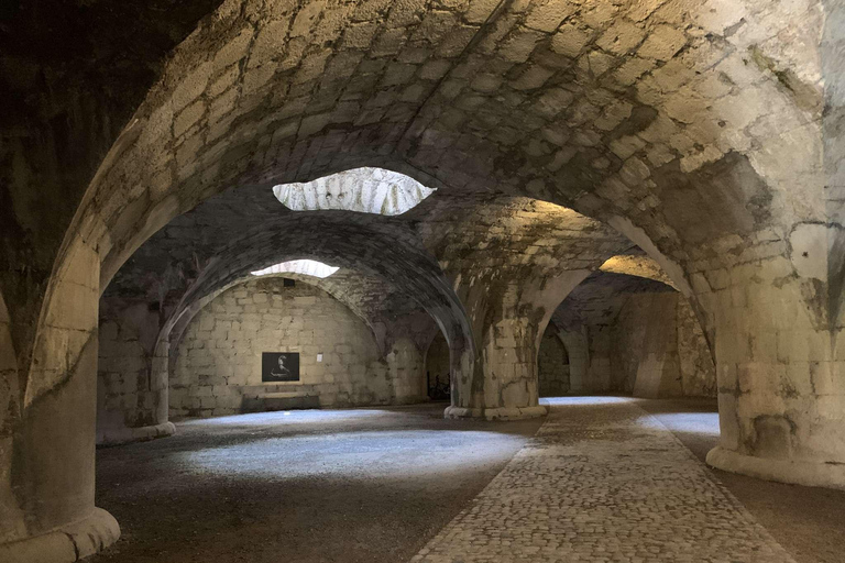 من زيورخ: جولة لنصف يوم في شلالات الراين وشافهاوزن