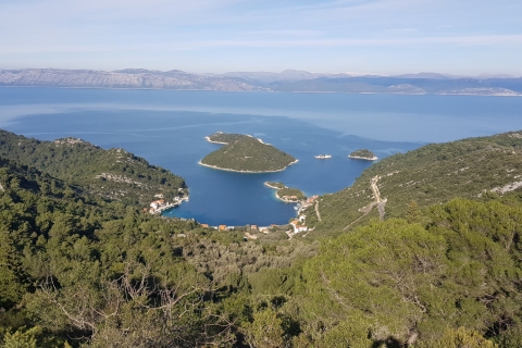 From Dubrovnik: Private Speedboat Cruise to Mljet Standard Option