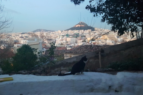 Athens: Highlights and Hidden Gems Small Group Tour & Picnic