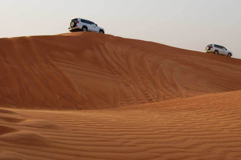 Doha: tour combinado de día completo por la ciudad y safari por el desierto