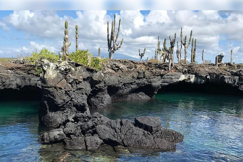 Isabela-Insel: Schnorcheln in den Cabo Rosa TunnelsIsabela-Insel: Schnorcheln in den Cabo Rosa-Tunneln
