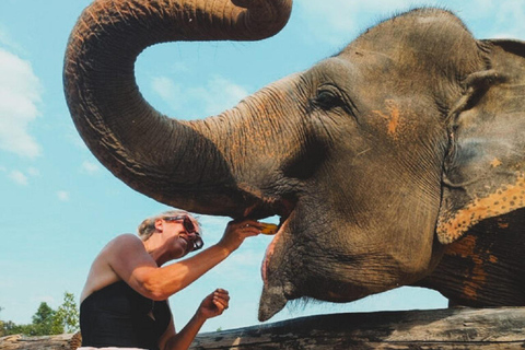 Visite du sanctuaire des éléphants et du temple de Banteay Srey au Cambodge