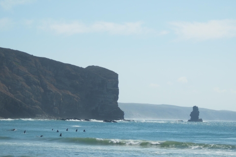 Algarve: 2-Hour Beginner Surf Lesson