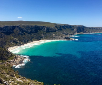 Isla Canguro: Excursión panorámica, naturaleza y vida salvaje