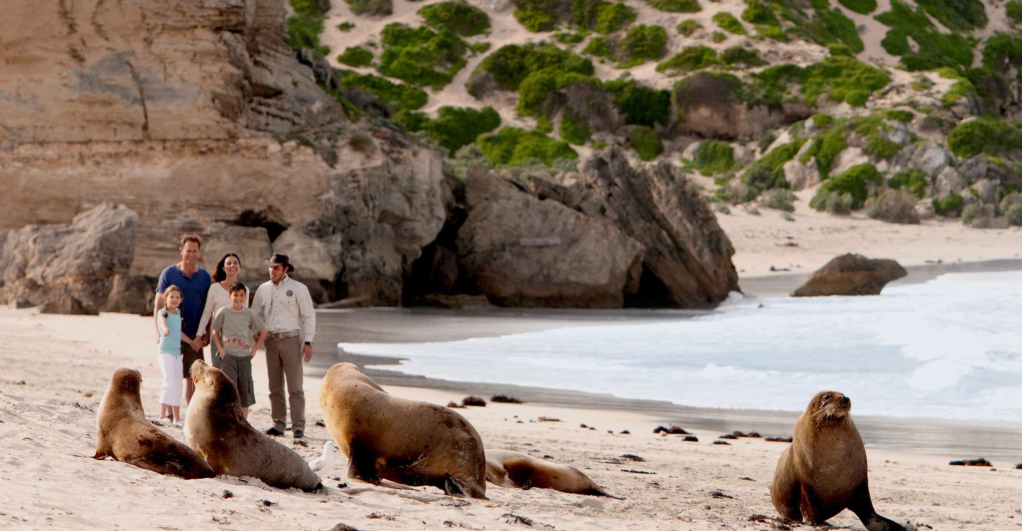 Kangaroo Island, Scenic, Nature & Wildlife Tour - Housity