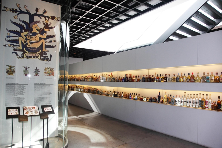 Mexico : Demi-journée au musée de la Tequila et du Mezcal