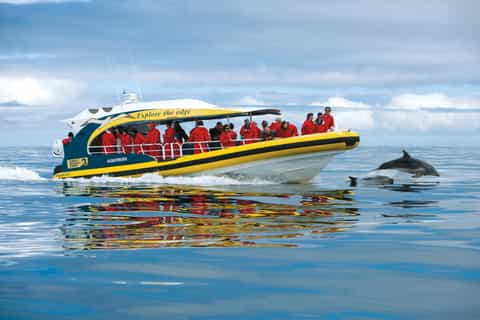 Bruny Island Wilderness Coast Eco-Tour from Hobart