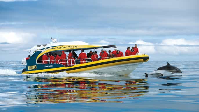 bruny island wilderness coast ecotour from hobart