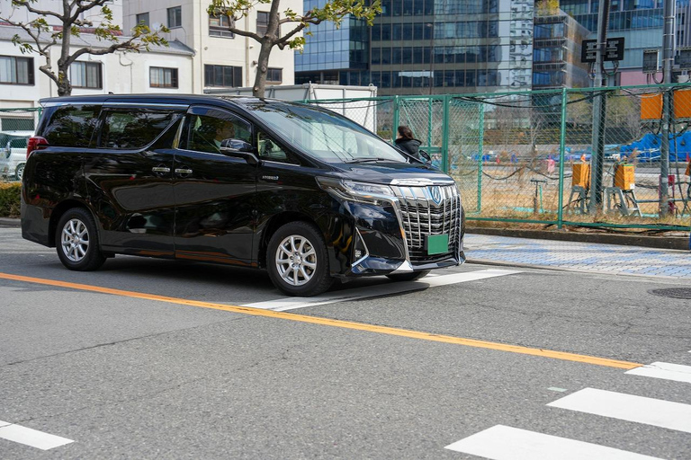 Excursión Privada de un Día a lo Más Destacado de Nara y Osaka