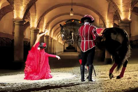 cordoba andalusian horse experience