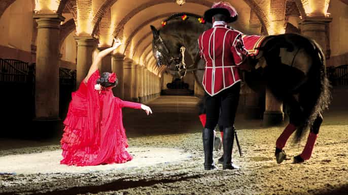 cordoba andalusian horse experience