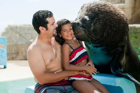 Puerto Plata Ocean World Tickets