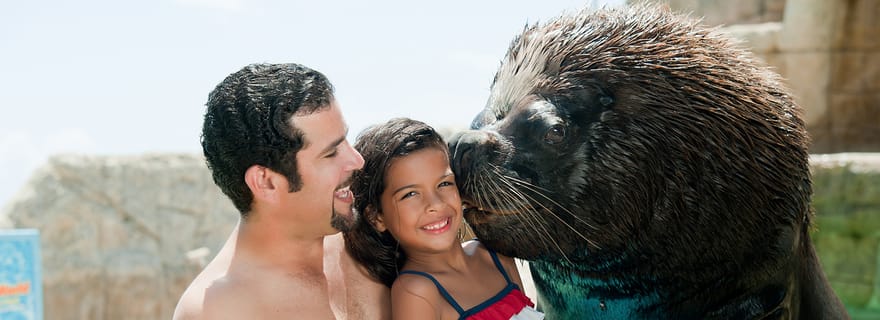 Billets Puerto Plata Ocean World