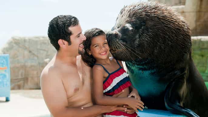 puerto plata ocean world tickets