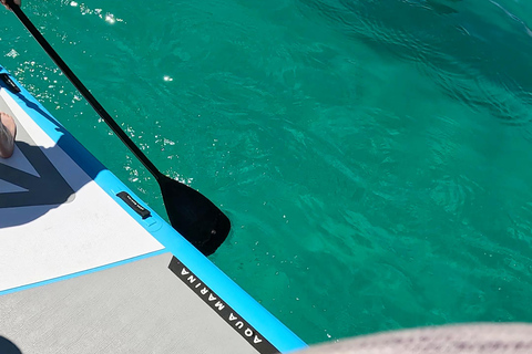 La Paz: Sea Lions & Mega-Paddleboard Tour in Espiritu Santo
