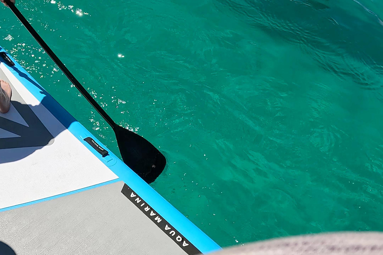 La Paz: Sea Lions & Mega-Paddleboard Tour in Espiritu Santo