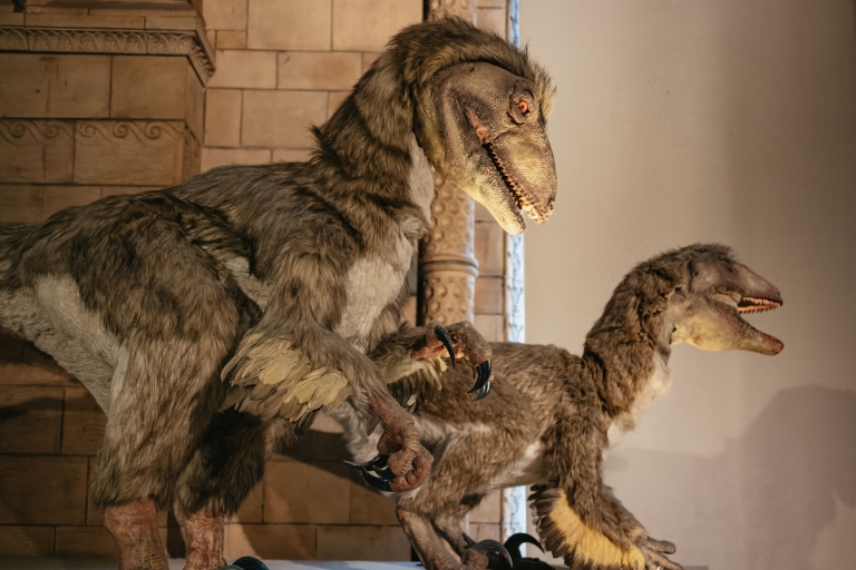 Natuurhistorisch museum van Londen Dinosaur Discovery Family TourNatuurhistorisch museum Familiebezoek in Londen in het Italiaans