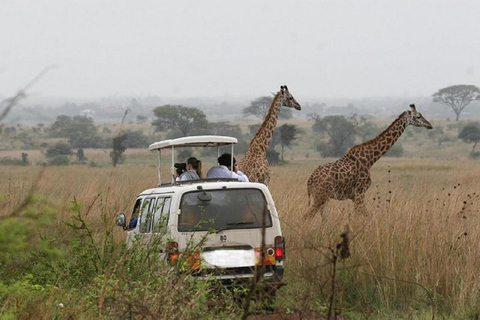 Nairobi national park, elephant orphanage giraffe center