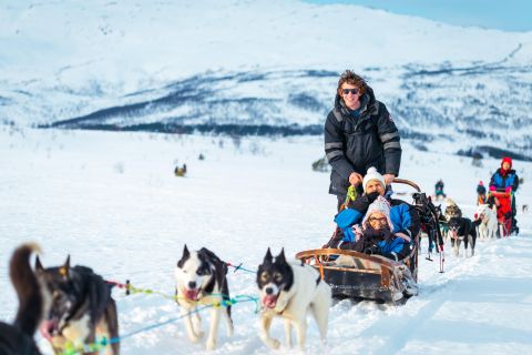 Ab Tromsø: Geführte Husky-Schlittentour mit Mittagessen
