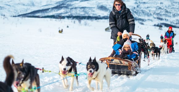 Tromsø: Guided Husky Sledding with Traditional Lunch