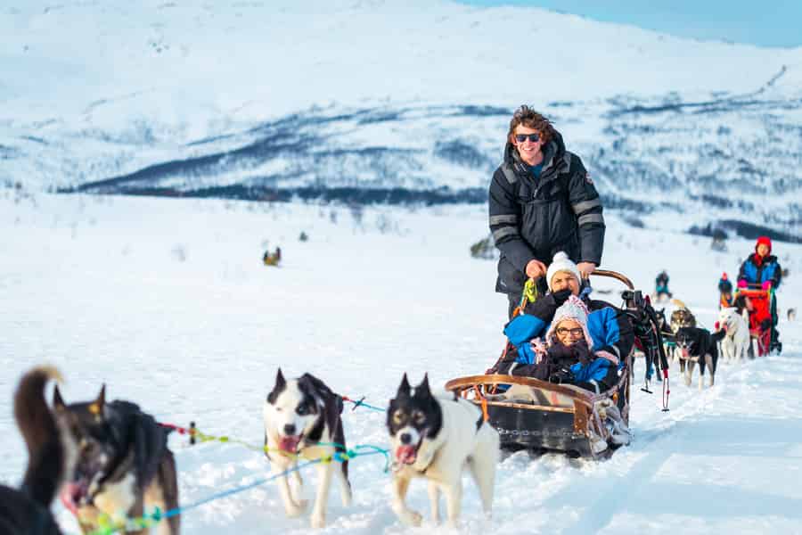 Tromsø: Geführte Husky-Schlittentour mit traditionellem Mittagessen. Foto: GetYourGuide
